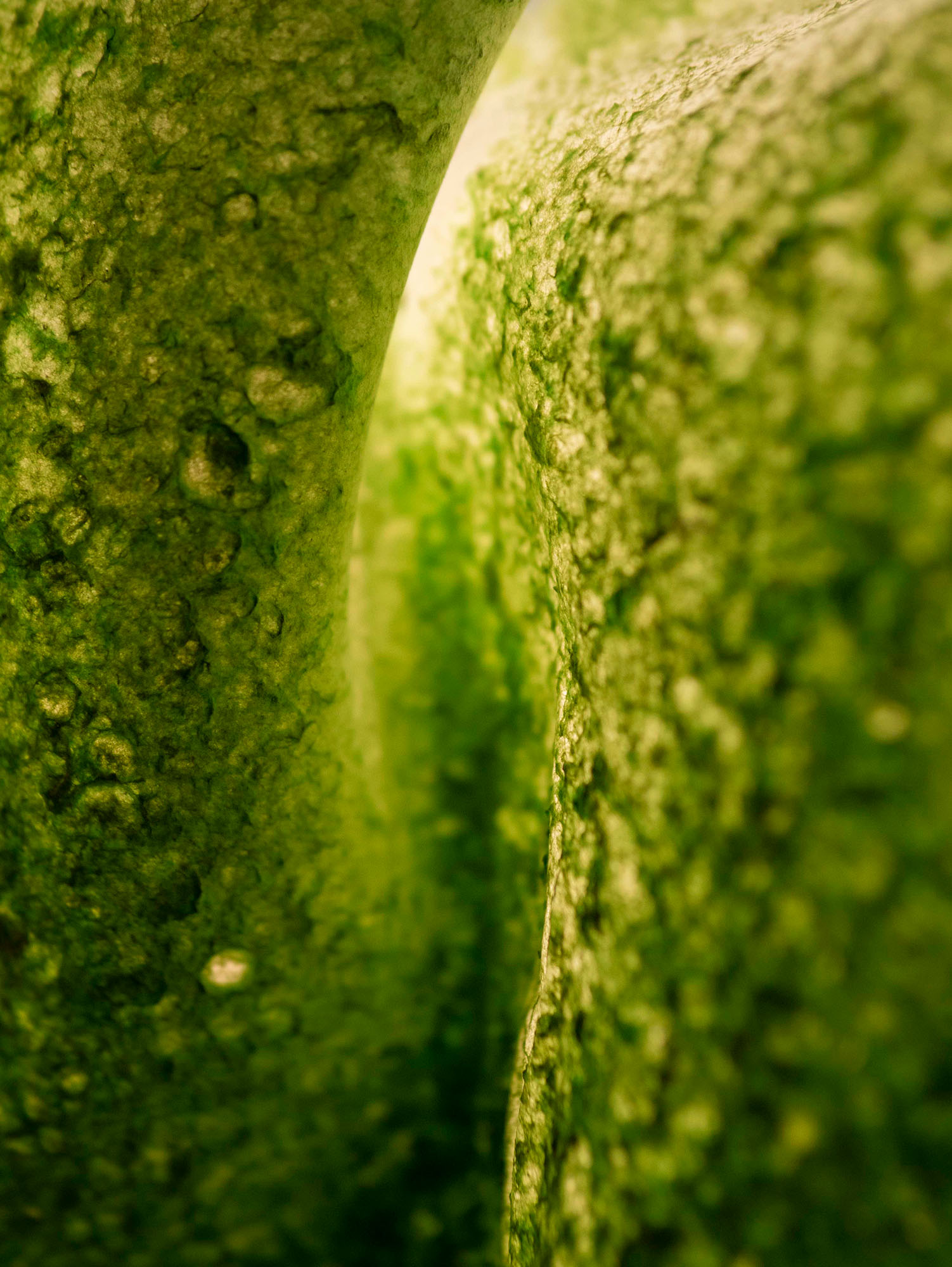 Blätterdach05 Detail-Nachahmung Lichtung